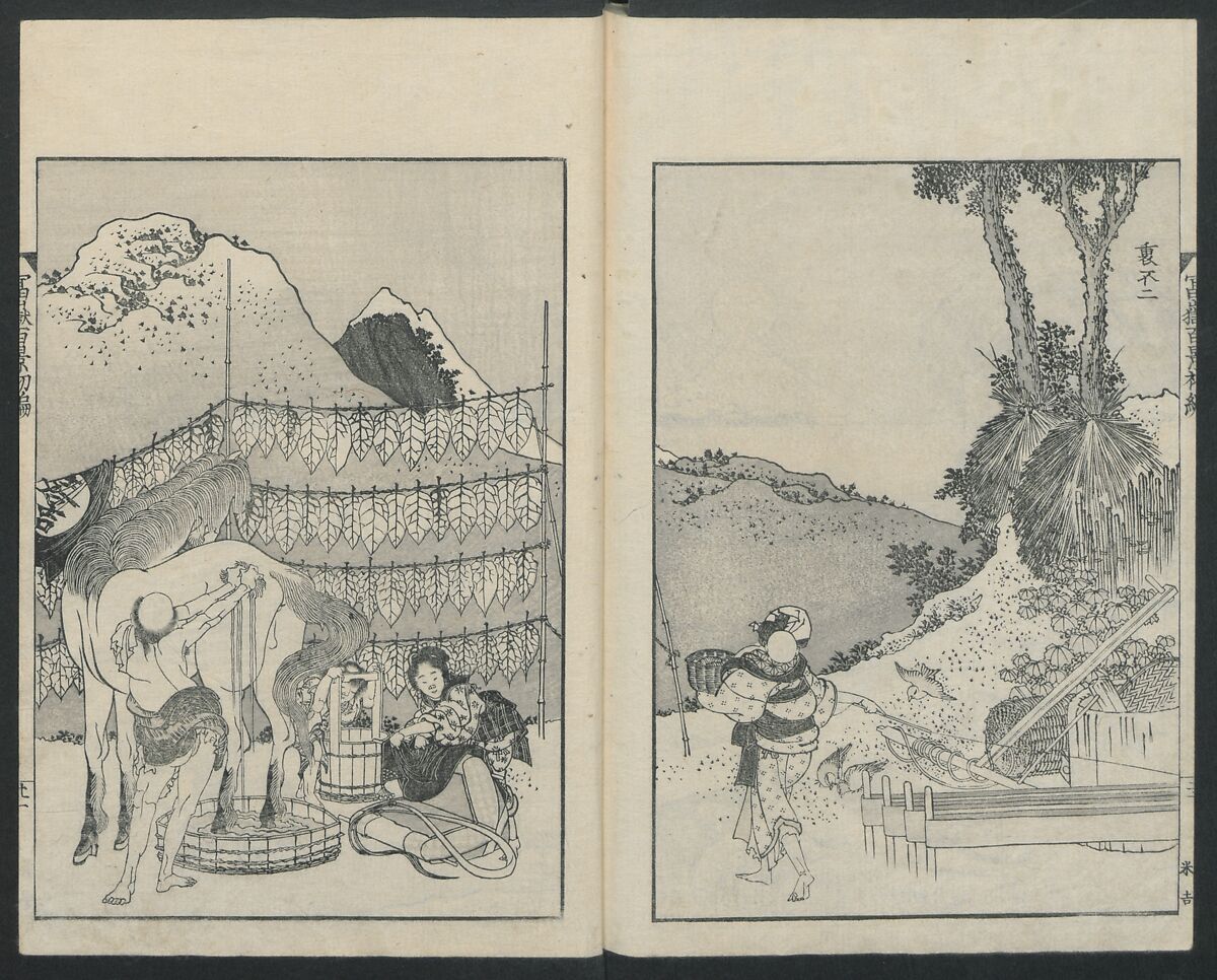 古画 真野松斎 瀑布に鷹図 紙本 メクリ 江戸時代 中国画 528 古画 真野