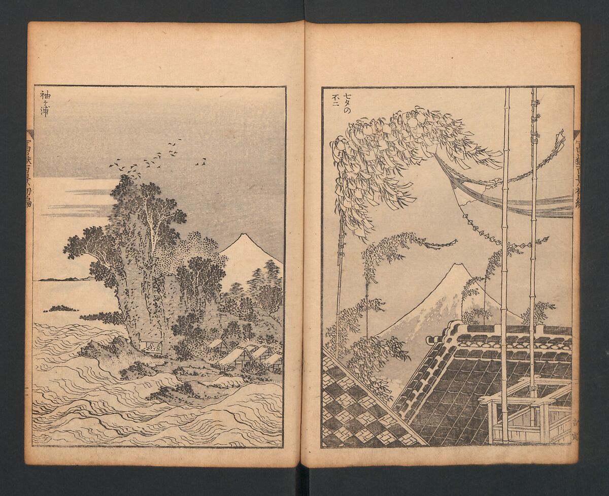 Mount Fuji of the Bamboo Grove, from One Hundred Views of Mount Fuji (Fugaku Hyakkei nihen), Katsushika Hokusai 葛飾北斎 (Japanese, Tokyo (Edo) 1760–1849 Tokyo (Edo)), Two volumes; woodblock print; ink on paper, Japan