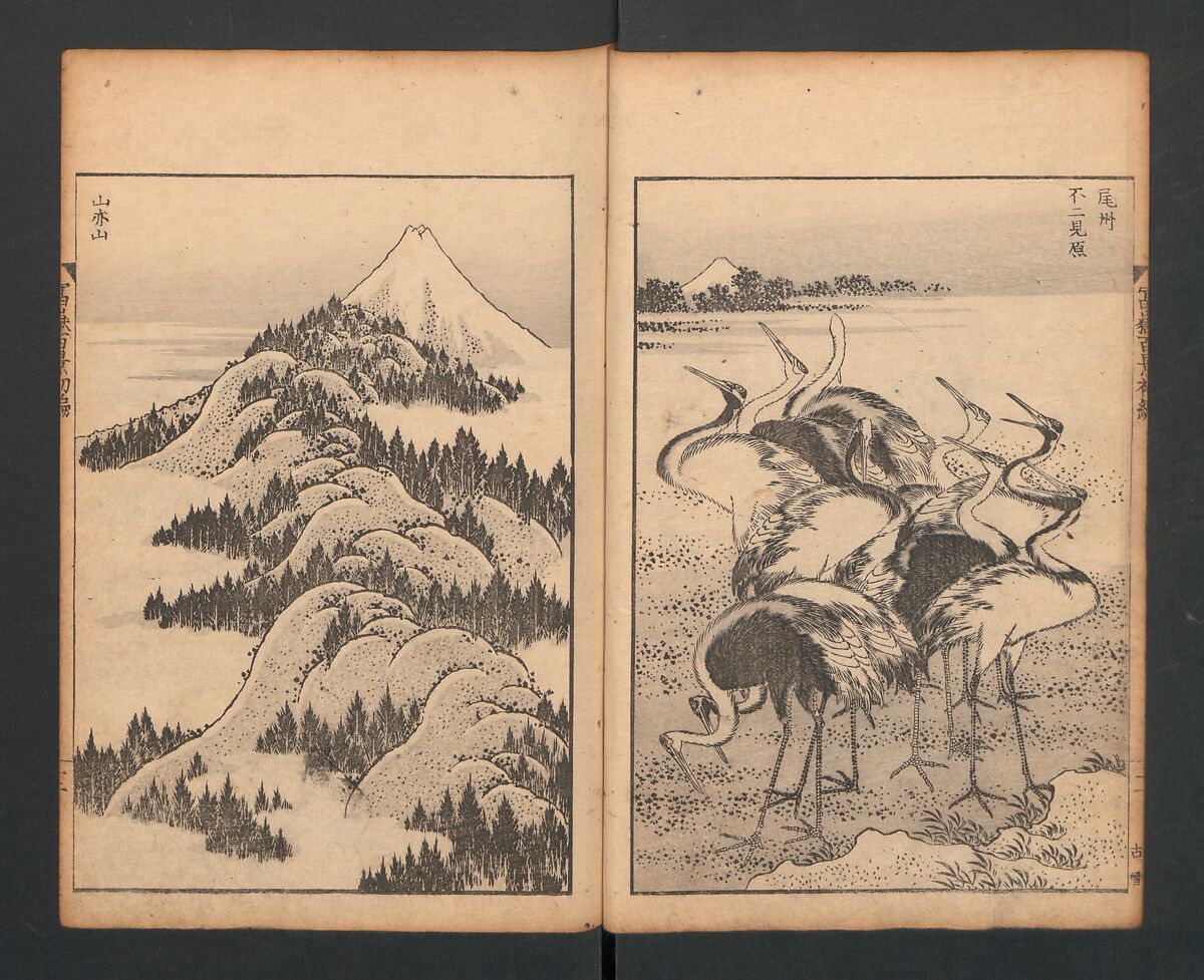 Mount Fuji of the Bamboo Grove, from One Hundred Views of Mount Fuji (Fugaku Hyakkei nihen), Katsushika Hokusai 葛飾北斎 (Japanese, Tokyo (Edo) 1760–1849 Tokyo (Edo)), Two volumes; woodblock print; ink on paper, Japan