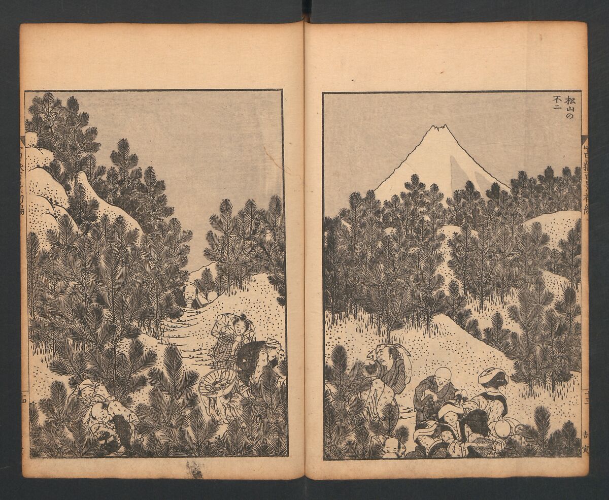 Mount Fuji of the Bamboo Grove, from One Hundred Views of Mount Fuji (Fugaku Hyakkei nihen), Katsushika Hokusai 葛飾北斎 (Japanese, Tokyo (Edo) 1760–1849 Tokyo (Edo)), Two volumes; woodblock print; ink on paper, Japan