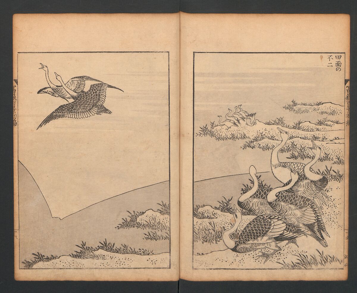 Mount Fuji of the Bamboo Grove, from One Hundred Views of Mount Fuji (Fugaku Hyakkei nihen), Katsushika Hokusai 葛飾北斎 (Japanese, Tokyo (Edo) 1760–1849 Tokyo (Edo)), Two volumes; woodblock print; ink on paper, Japan