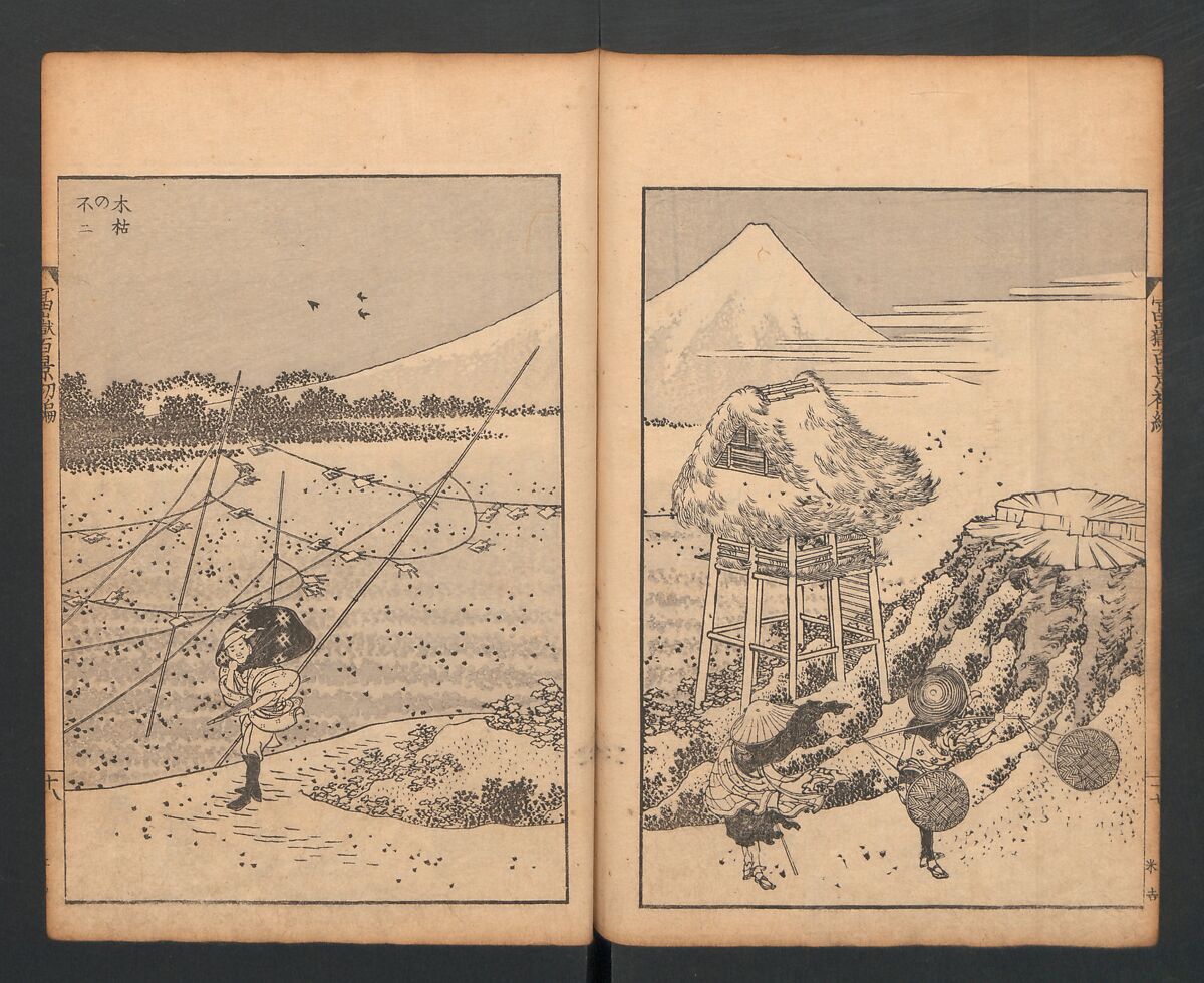 Mount Fuji of the Bamboo Grove, from One Hundred Views of Mount Fuji (Fugaku Hyakkei nihen), Katsushika Hokusai 葛飾北斎 (Japanese, Tokyo (Edo) 1760–1849 Tokyo (Edo)), Two volumes; woodblock print; ink on paper, Japan