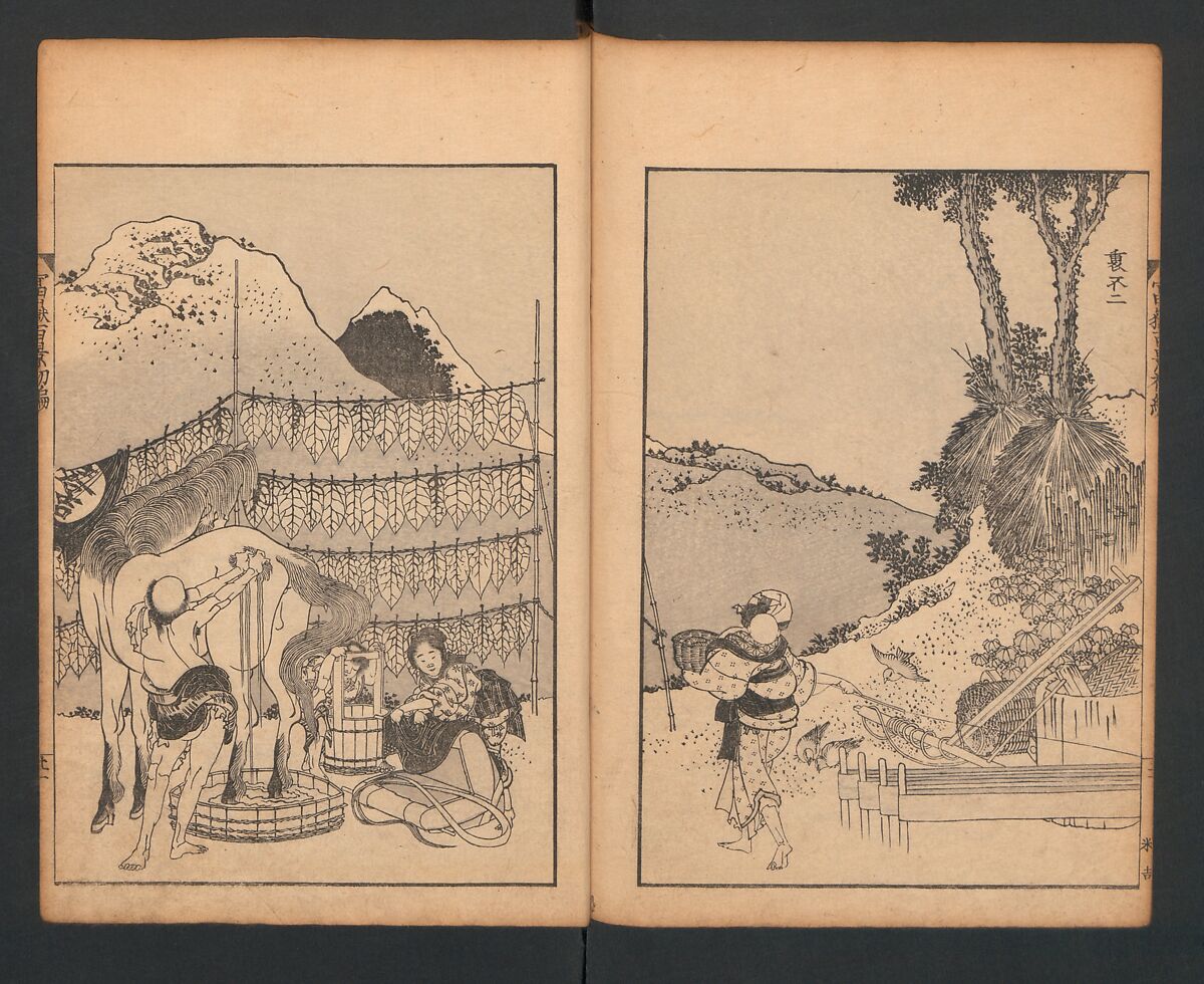 Mount Fuji of the Bamboo Grove, from One Hundred Views of Mount Fuji (Fugaku Hyakkei nihen), Katsushika Hokusai 葛飾北斎 (Japanese, Tokyo (Edo) 1760–1849 Tokyo (Edo)), Two volumes; woodblock print; ink on paper, Japan