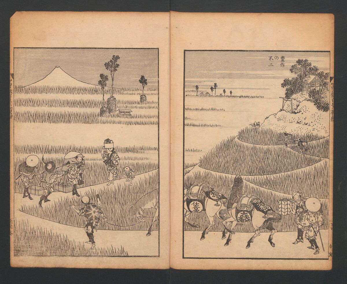 Mount Fuji of the Bamboo Grove, from One Hundred Views of Mount Fuji (Fugaku Hyakkei nihen), Katsushika Hokusai 葛飾北斎 (Japanese, Tokyo (Edo) 1760–1849 Tokyo (Edo)), Two volumes; woodblock print; ink on paper, Japan