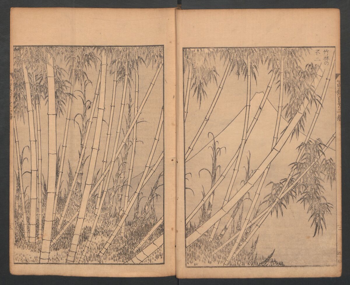 Mount Fuji of the Bamboo Grove, from One Hundred Views of Mount Fuji (Fugaku Hyakkei nihen), Katsushika Hokusai 葛飾北斎 (Japanese, Tokyo (Edo) 1760–1849 Tokyo (Edo)), Two volumes; woodblock print; ink on paper, Japan