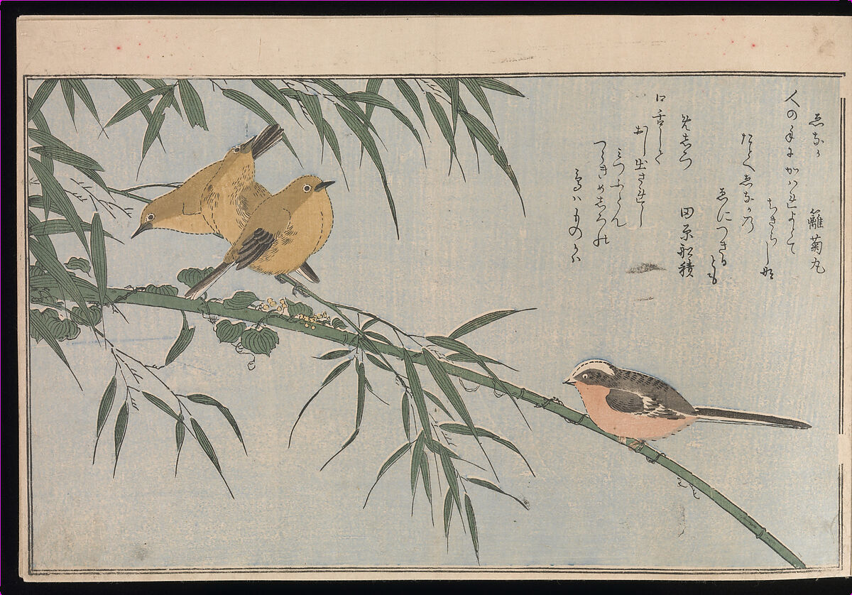 Myriad Birds: Picture Book of Playful Verse (Momo chidori kyōka-awase), Kitagawa Utamaro (Japanese, ca. 1754–1806), Woodblock printed book (vols. 1 and 2); ink and color on paper, Japan
