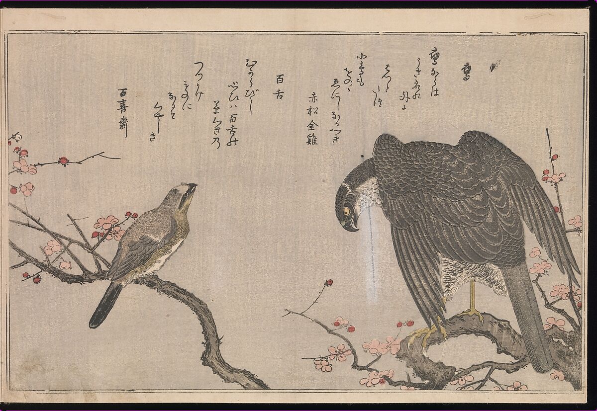 Myriad Birds: Picture Book of Playful Verse (Momo chidori kyōka-awase), Kitagawa Utamaro (Japanese, ca. 1754–1806), Woodblock printed book (vols. 1 and 2); ink and color on paper, Japan
