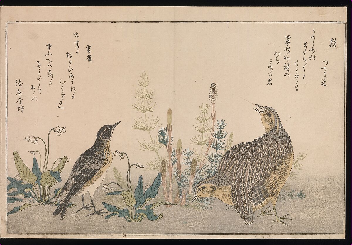Myriad Birds: Picture Book of Playful Verse (Momo chidori kyōka-awase), Kitagawa Utamaro (Japanese, ca. 1754–1806), Woodblock printed book (vols. 1 and 2); ink and color on paper, Japan