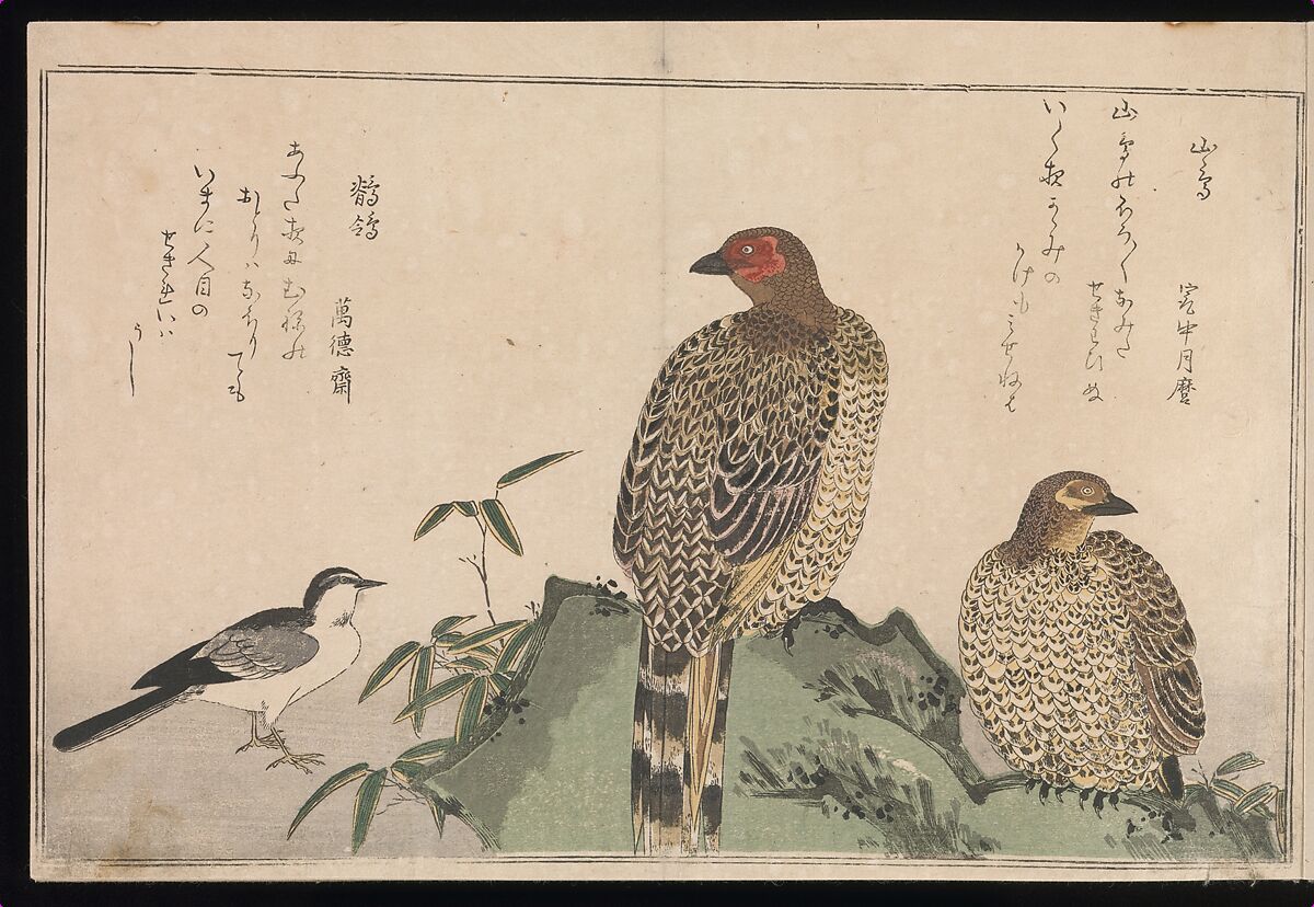 Myriad Birds: Picture Book of Playful Verse (Momo chidori kyōka-awase), Kitagawa Utamaro (Japanese, ca. 1754–1806), Woodblock printed book (vols. 1 and 2); ink and color on paper, Japan