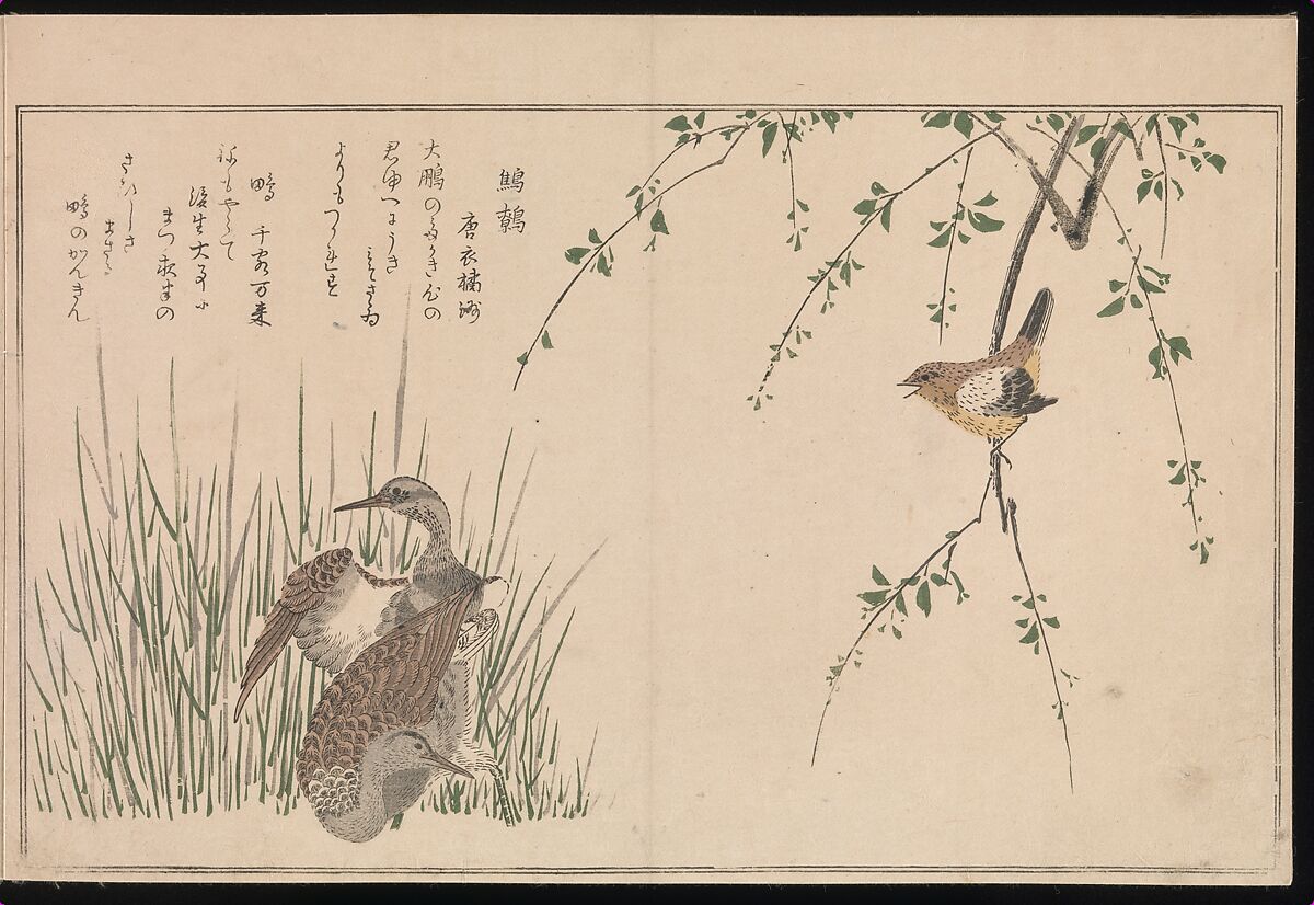 Kitagawa Utamaro - Myriad Birds: Picture Book of Playful