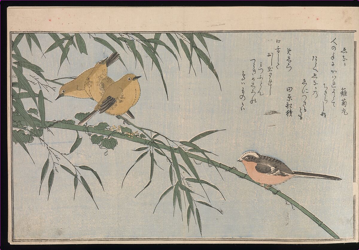 Myriad Birds: Picture Book of Playful Verse (Momo chidori kyōka-awase), Kitagawa Utamaro (Japanese, ca. 1754–1806), Woodblock printed book (vols. 1 and 2); ink and color on paper, Japan