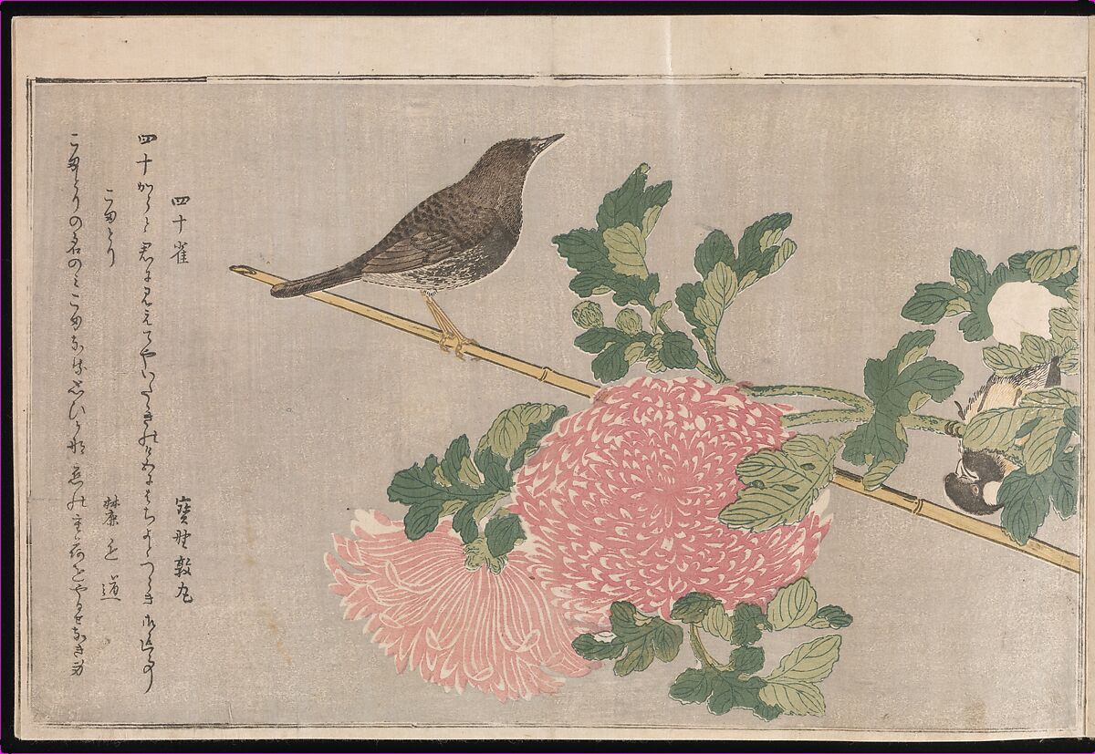 Myriad Birds: Picture Book of Playful Verse (Momo chidori kyōka-awase), Kitagawa Utamaro (Japanese, ca. 1754–1806), Woodblock printed book (vols. 1 and 2); ink and color on paper, Japan