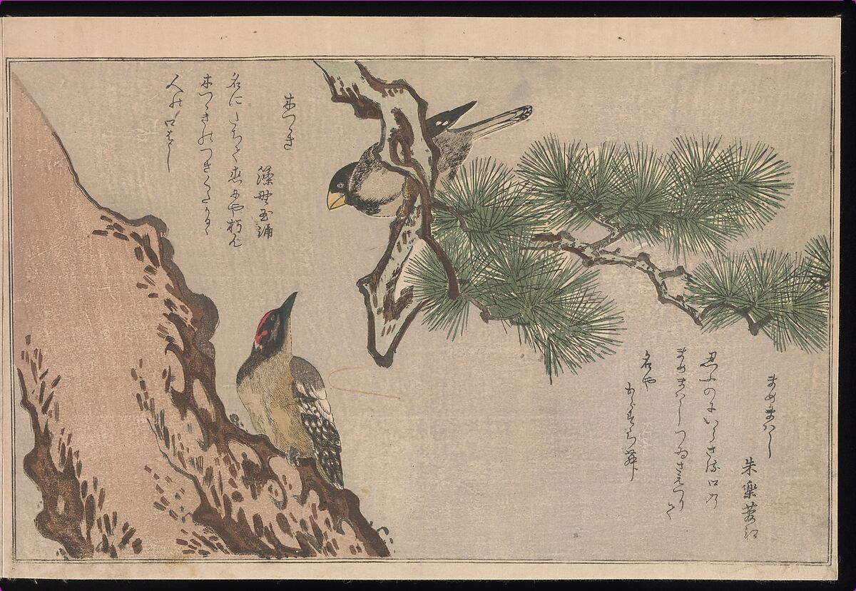 Myriad Birds: Picture Book of Playful Verse (Momo chidori kyōka-awase), Kitagawa Utamaro (Japanese, ca. 1754–1806), Woodblock printed book (vols. 1 and 2); ink and color on paper, Japan