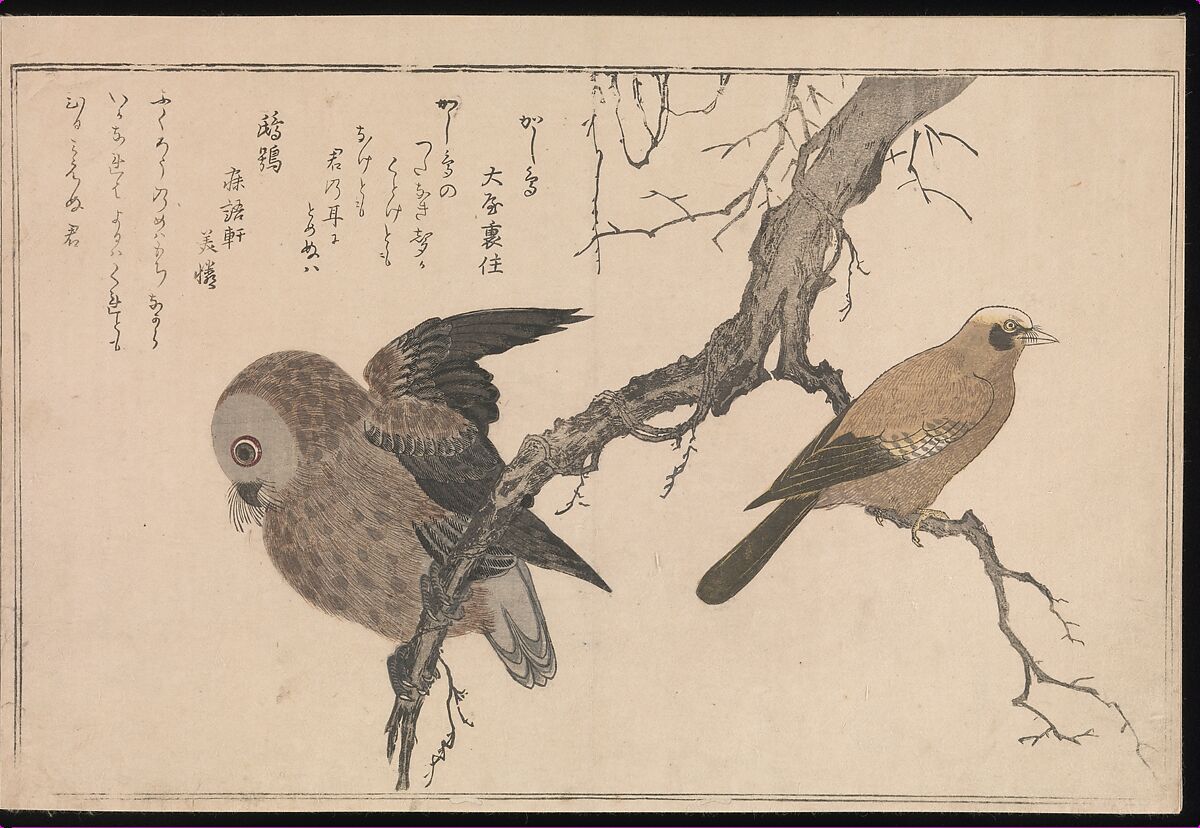 Myriad Birds: Picture Book of Playful Verse (Momo chidori kyōka-awase), Kitagawa Utamaro (Japanese, ca. 1754–1806), Woodblock printed book (vols. 1 and 2); ink and color on paper, Japan