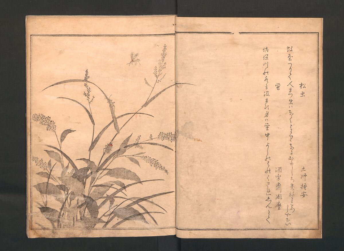 Picture Book of Crawling Creatures (The Insect Book) (Ehon mushi erami) 画本虫撰, Kitagawa Utamaro (Japanese, ca. 1754–1806), One from a set of two polychrome woodblock printed books; ink and color on paper, Japan