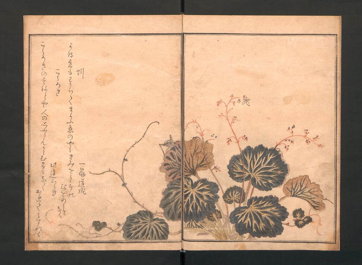 Picture Book of Crawling Creatures (The Insect Book) (Ehon mushi erami) 画本虫撰, Kitagawa Utamaro (Japanese, ca. 1754–1806), One from a set of two polychrome woodblock printed books; ink and color on paper, Japan