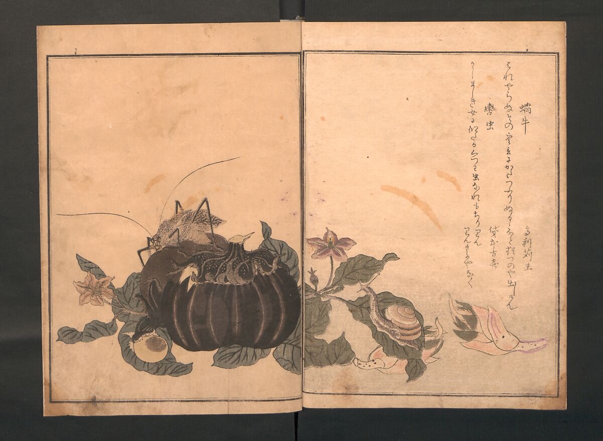 Picture Book of Crawling Creatures (The Insect Book) (Ehon mushi erami) 画本虫撰, Kitagawa Utamaro (Japanese, ca. 1754–1806), One from a set of two polychrome woodblock printed books; ink and color on paper, Japan
