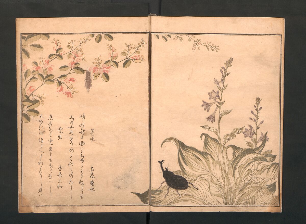 Picture Book of Crawling Creatures (The Insect Book) (Ehon mushi erami) 画本虫撰, Kitagawa Utamaro (Japanese, ca. 1754–1806), One from a set of two polychrome woodblock printed books; ink and color on paper, Japan