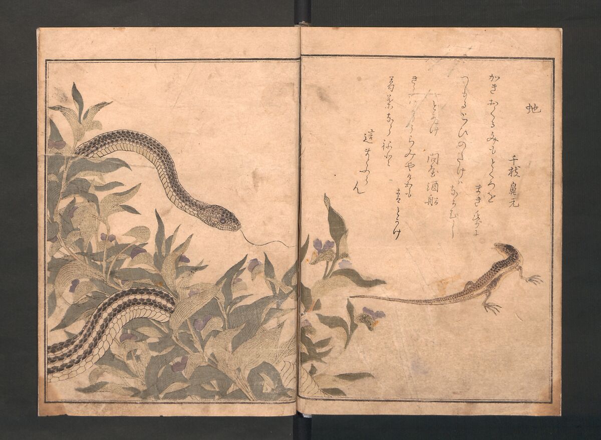Picture Book of Crawling Creatures (The Insect Book) (Ehon mushi erami) 画本虫撰, Kitagawa Utamaro (Japanese, ca. 1754–1806), One from a set of two polychrome woodblock printed books; ink and color on paper, Japan