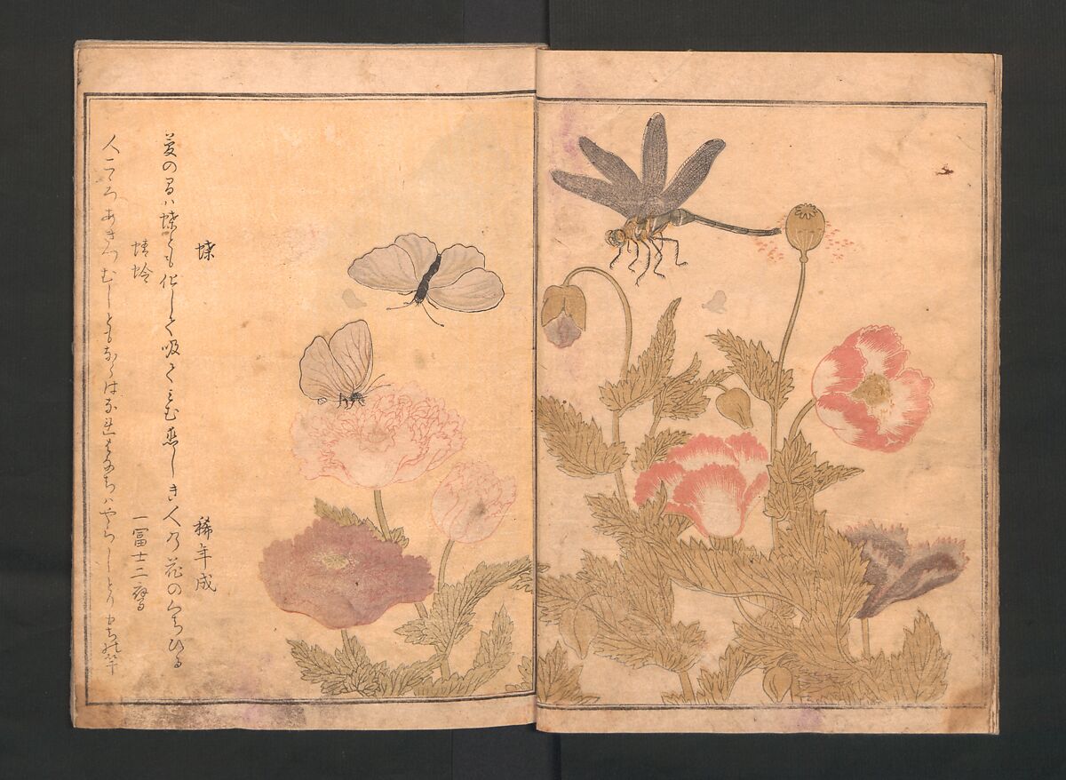 Picture Book of Crawling Creatures (The Insect Book) (Ehon mushi erami) 画本虫撰, Kitagawa Utamaro (Japanese, ca. 1754–1806), One from a set of two polychrome woodblock printed books; ink and color on paper, Japan