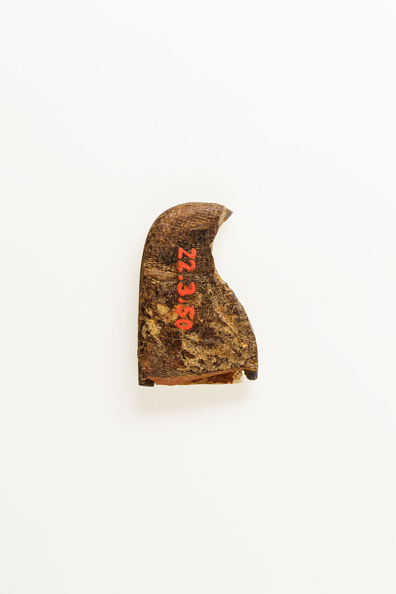Wig inlay and shoulder of figure, Lapis, ivory