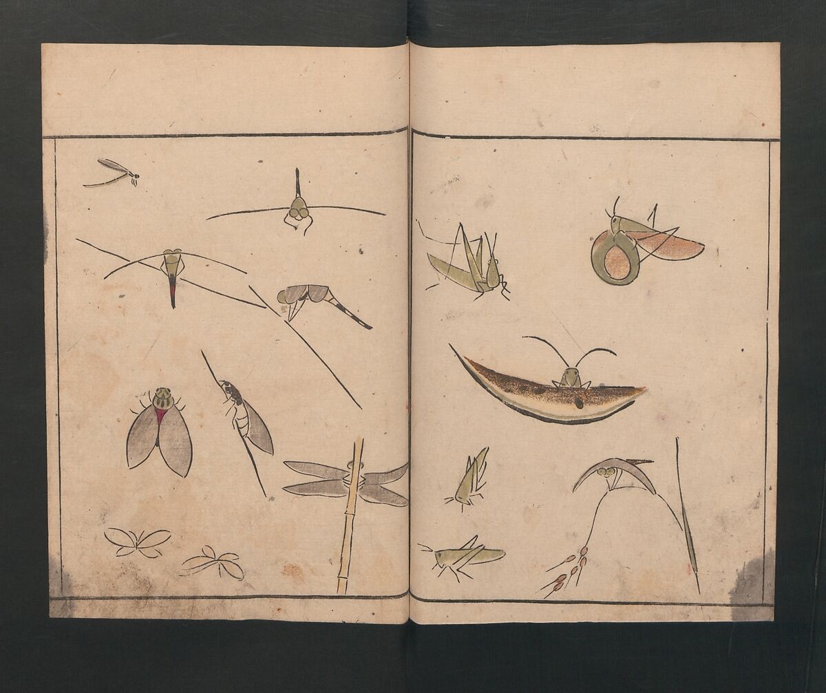 Abbreviated Drawing Styles for Birds and Animals (Chōjū ryakuga shiki) 鳥獣略画式, Kuwagata Keisai 鍬形蕙斎 (Japanese, 1764–1824), Woodblock printed book; ink and color on paper, Japan