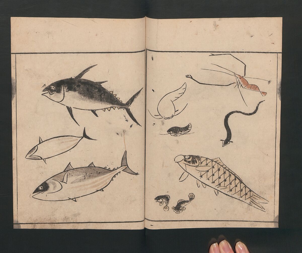 Abbreviated Drawing Styles for Birds and Animals (Chōjū ryakuga shiki) 鳥獣略画式, Kuwagata Keisai 鍬形蕙斎 (Japanese, 1764–1824), Woodblock printed book; ink and color on paper, Japan