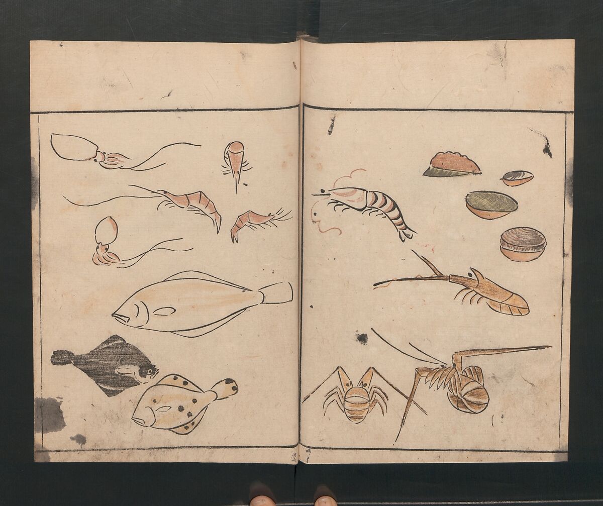 Abbreviated Drawing Styles for Birds and Animals (Chōjū ryakuga shiki) 鳥獣略画式, Kuwagata Keisai 鍬形蕙斎 (Japanese, 1764–1824), Woodblock printed book; ink and color on paper, Japan