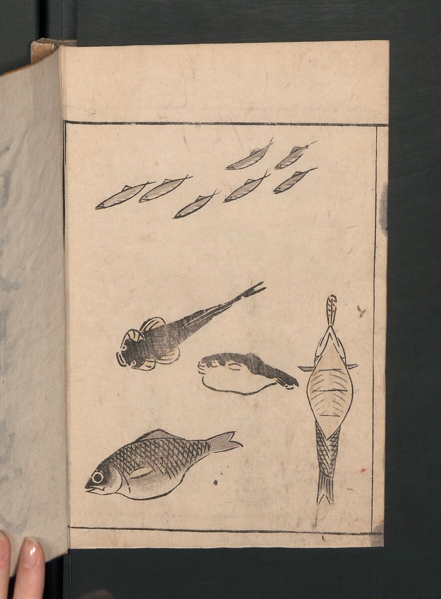 Abbreviated Drawing Styles for Birds and Animals (Chōjū ryakuga shiki) 鳥獣略画式, Kuwagata Keisai 鍬形蕙斎 (Japanese, 1764–1824), Woodblock printed book; ink and color on paper, Japan
