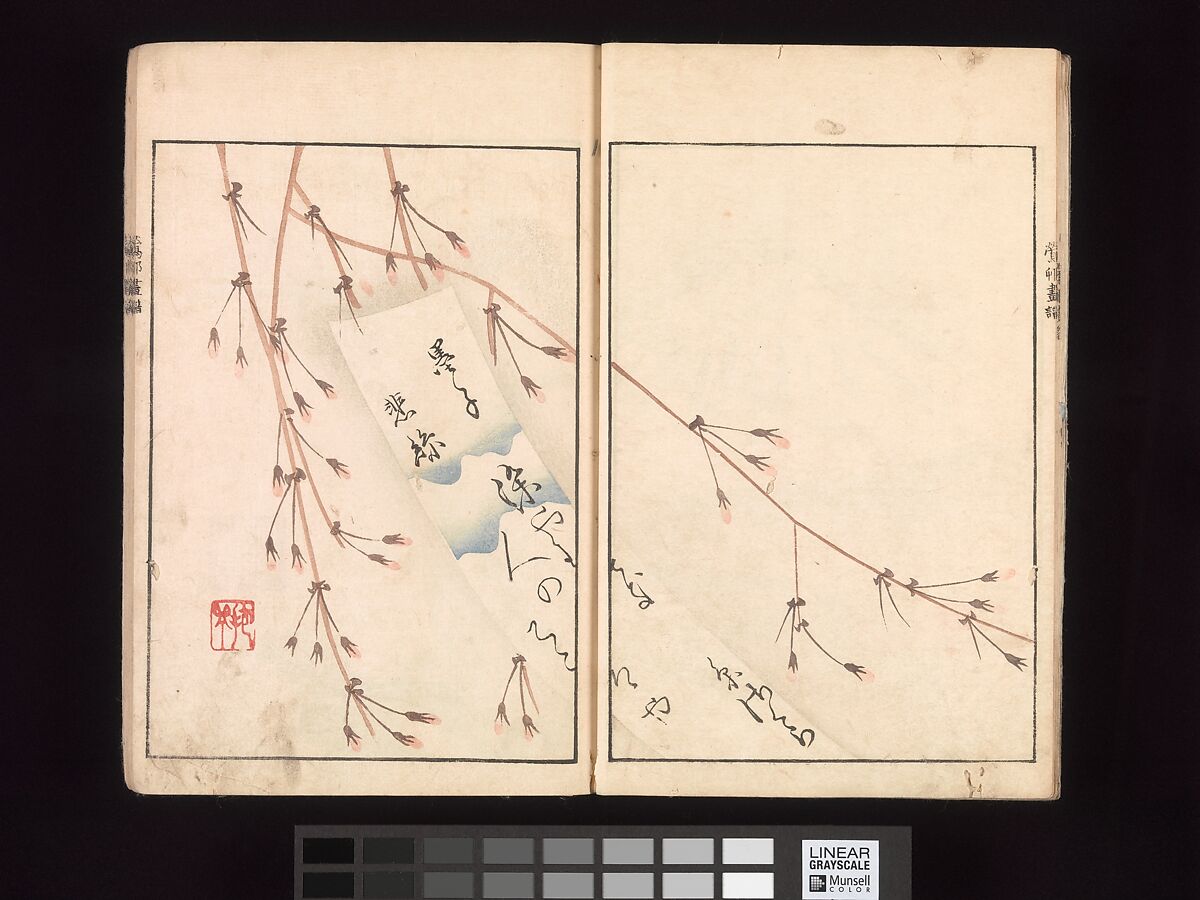 Ōson (Hōitsu) Picture Album (Ōson gafu), Sakai Hōitsu (Japanese, 1761–1828), Woodblock printed book; ink and color on paper, Japan