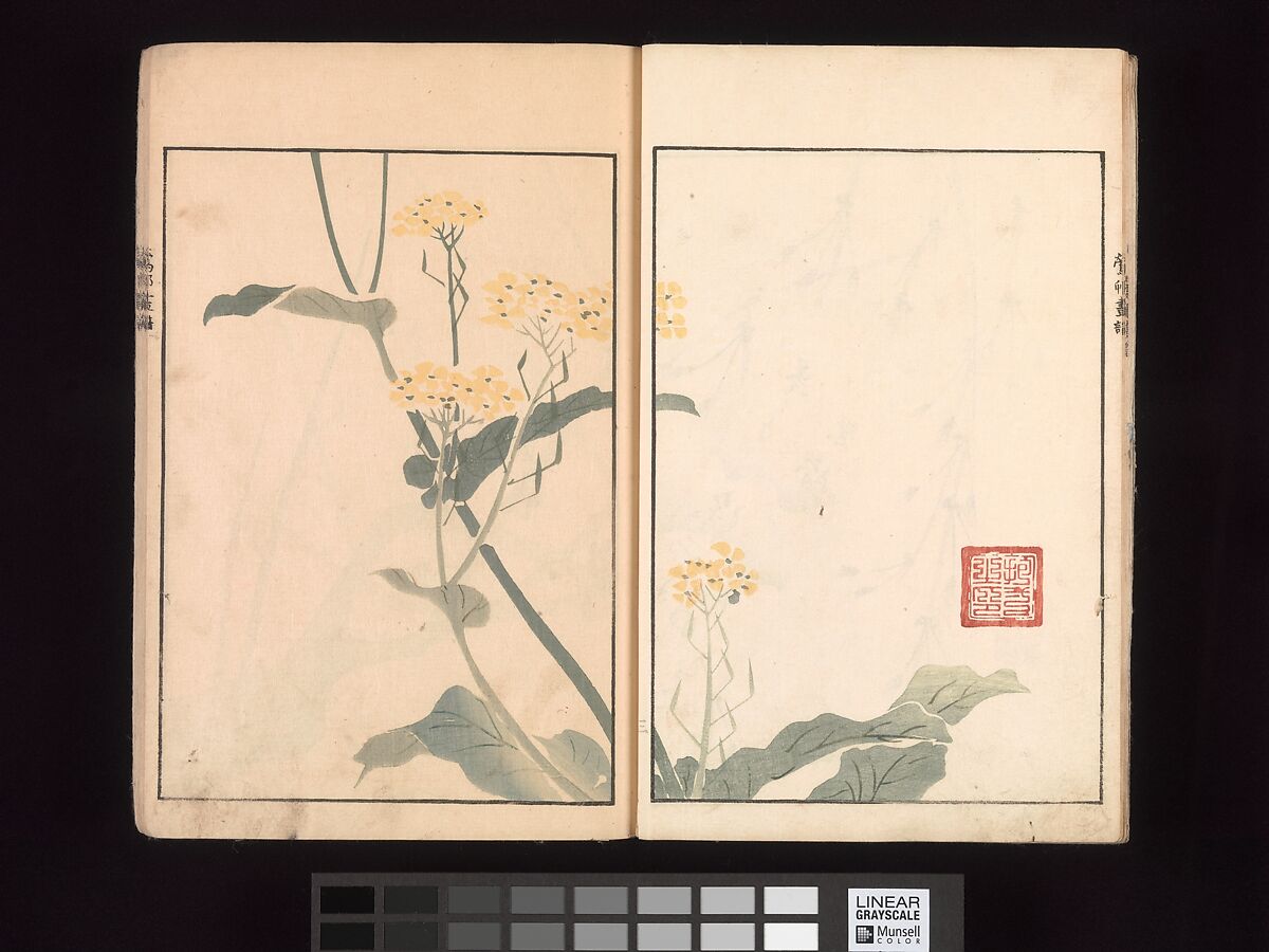 Ōson (Hōitsu) Picture Album (Ōson gafu), Sakai Hōitsu (Japanese, 1761–1828), Woodblock printed book; ink and color on paper, Japan