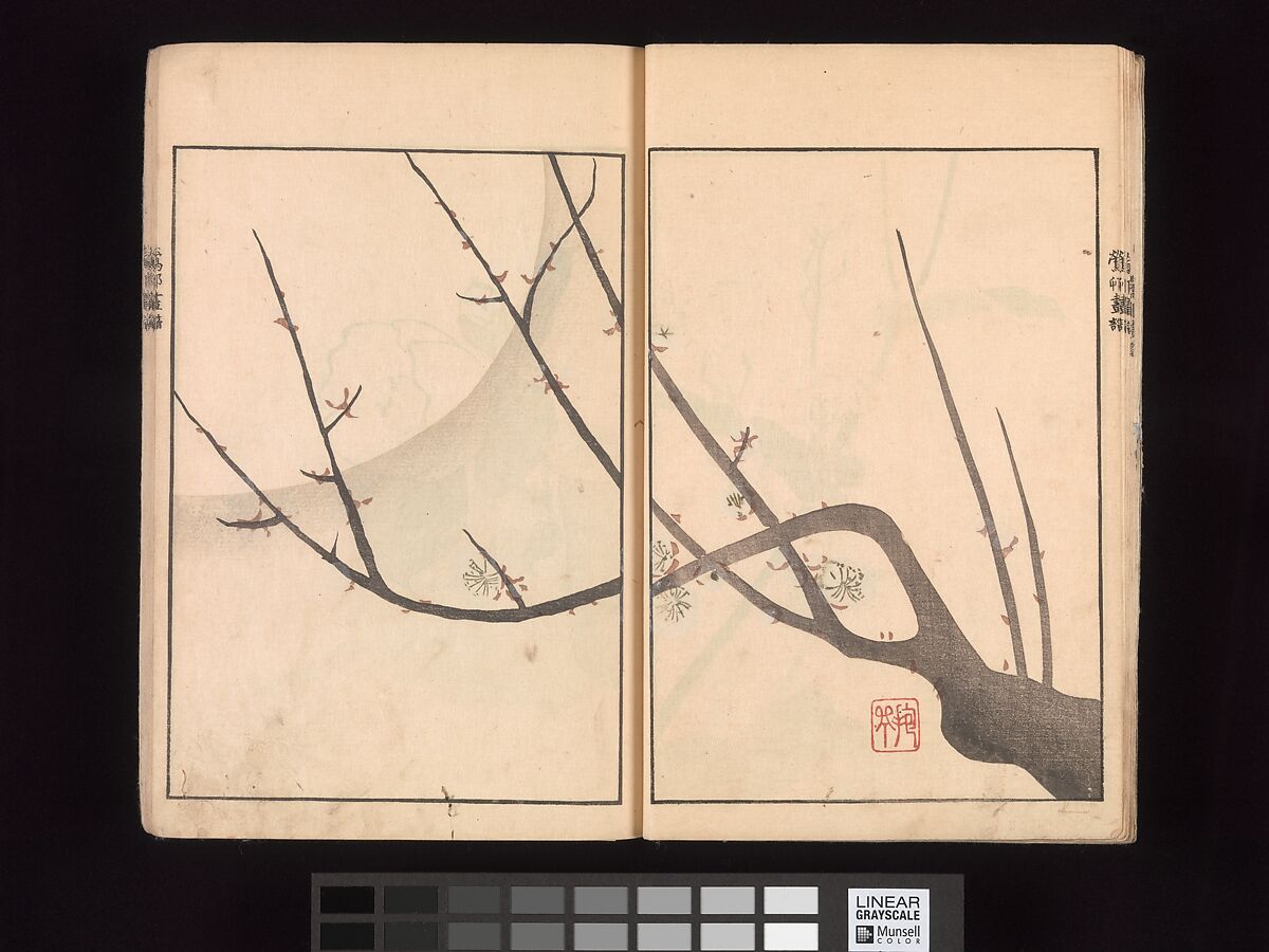 Ōson (Hōitsu) Picture Album (Ōson gafu), Sakai Hōitsu (Japanese, 1761–1828), Woodblock printed book; ink and color on paper, Japan