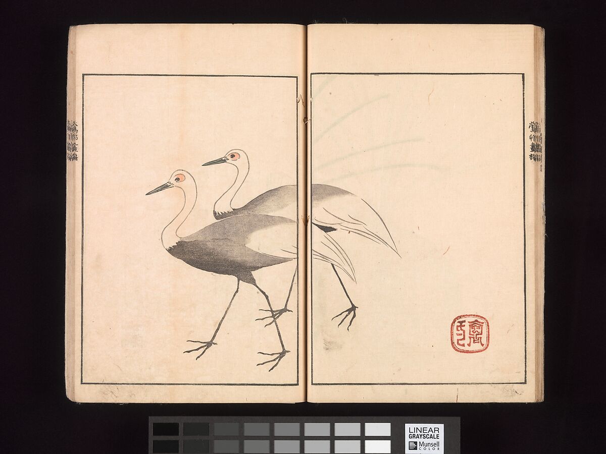 Ōson (Hōitsu) Picture Album (Ōson gafu), Sakai Hōitsu (Japanese, 1761–1828), Woodblock printed book; ink and color on paper, Japan