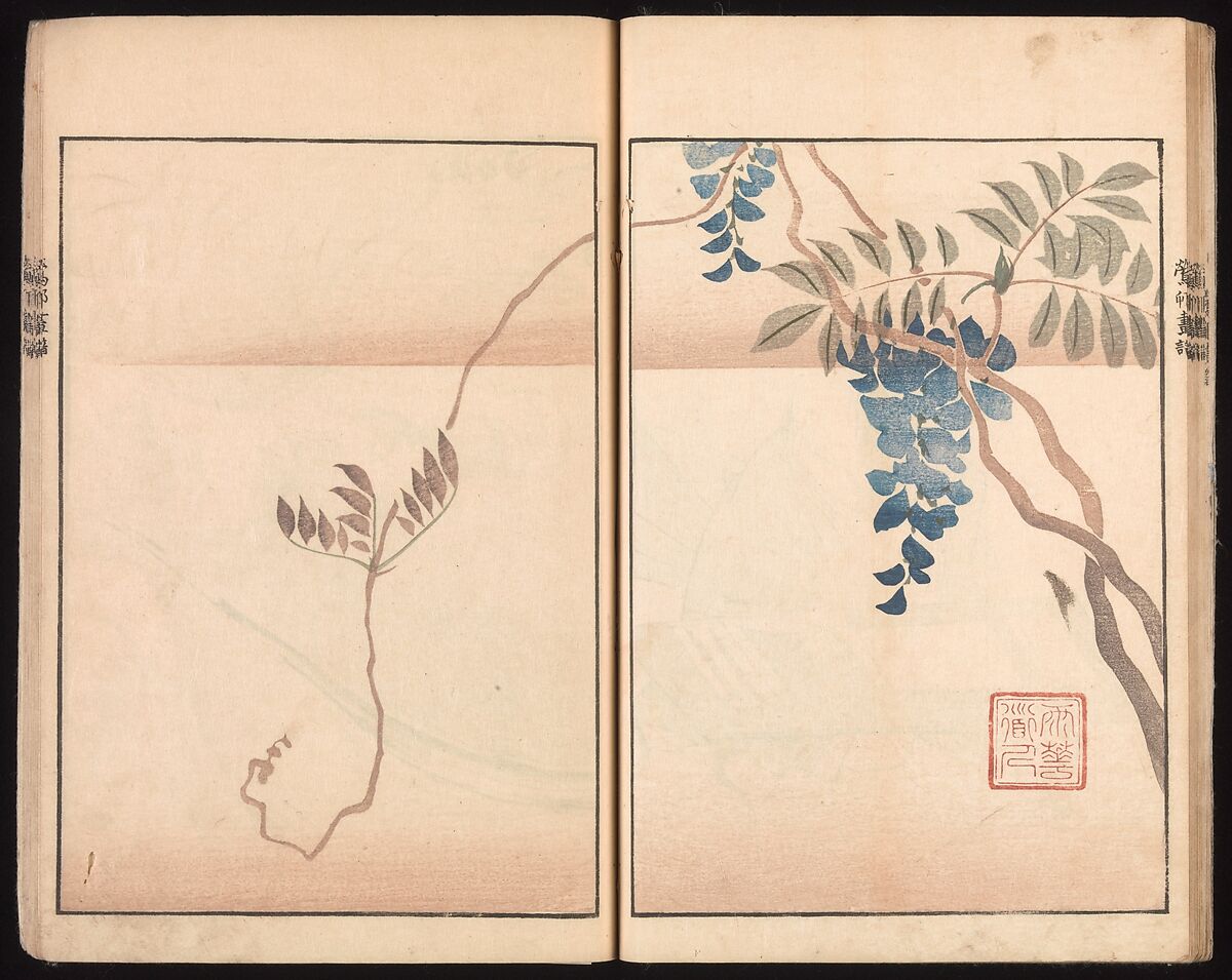 Ōson (Hōitsu) Picture Album (Ōson gafu), Sakai Hōitsu (Japanese, 1761–1828), Woodblock printed book; ink and color on paper, Japan