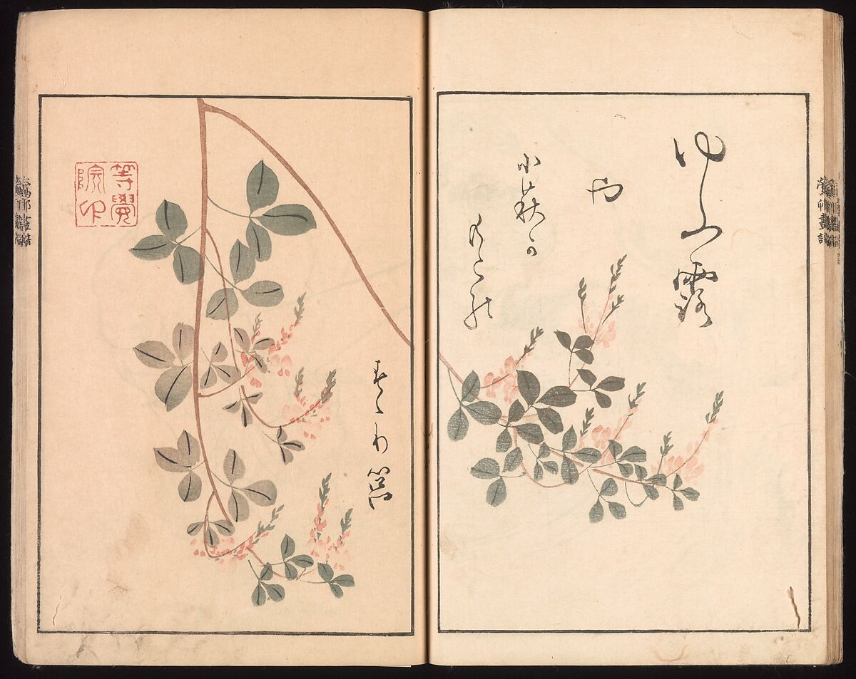Ōson (Hōitsu) Picture Album (Ōson gafu), Sakai Hōitsu (Japanese, 1761–1828), Woodblock printed book; ink and color on paper, Japan