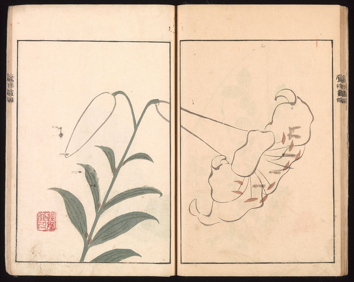 Ōson (Hōitsu) Picture Album (Ōson gafu), Sakai Hōitsu (Japanese, 1761–1828), Woodblock printed book; ink and color on paper, Japan