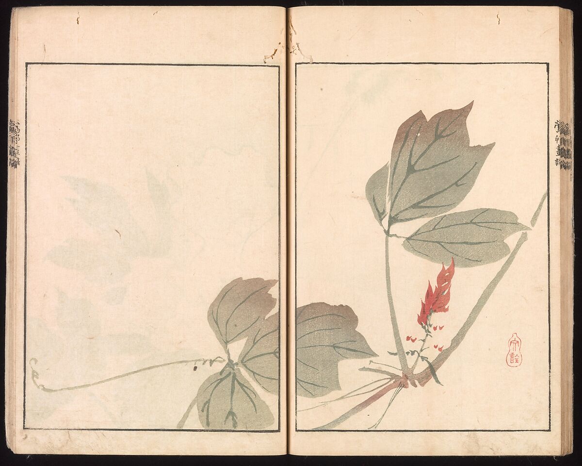 Ōson (Hōitsu) Picture Album (Ōson gafu), Sakai Hōitsu (Japanese, 1761–1828), Woodblock printed book; ink and color on paper, Japan
