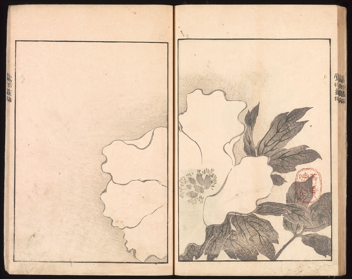 Ōson (Hōitsu) Picture Album (Ōson gafu), Sakai Hōitsu (Japanese, 1761–1828), Woodblock printed book; ink and color on paper, Japan