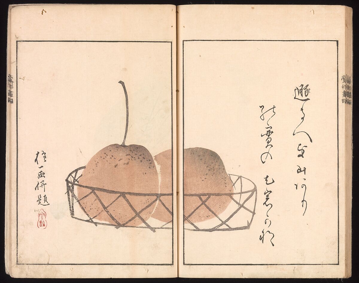 Ōson (Hōitsu) Picture Album (Ōson gafu), Sakai Hōitsu (Japanese, 1761–1828), Woodblock printed book; ink and color on paper, Japan