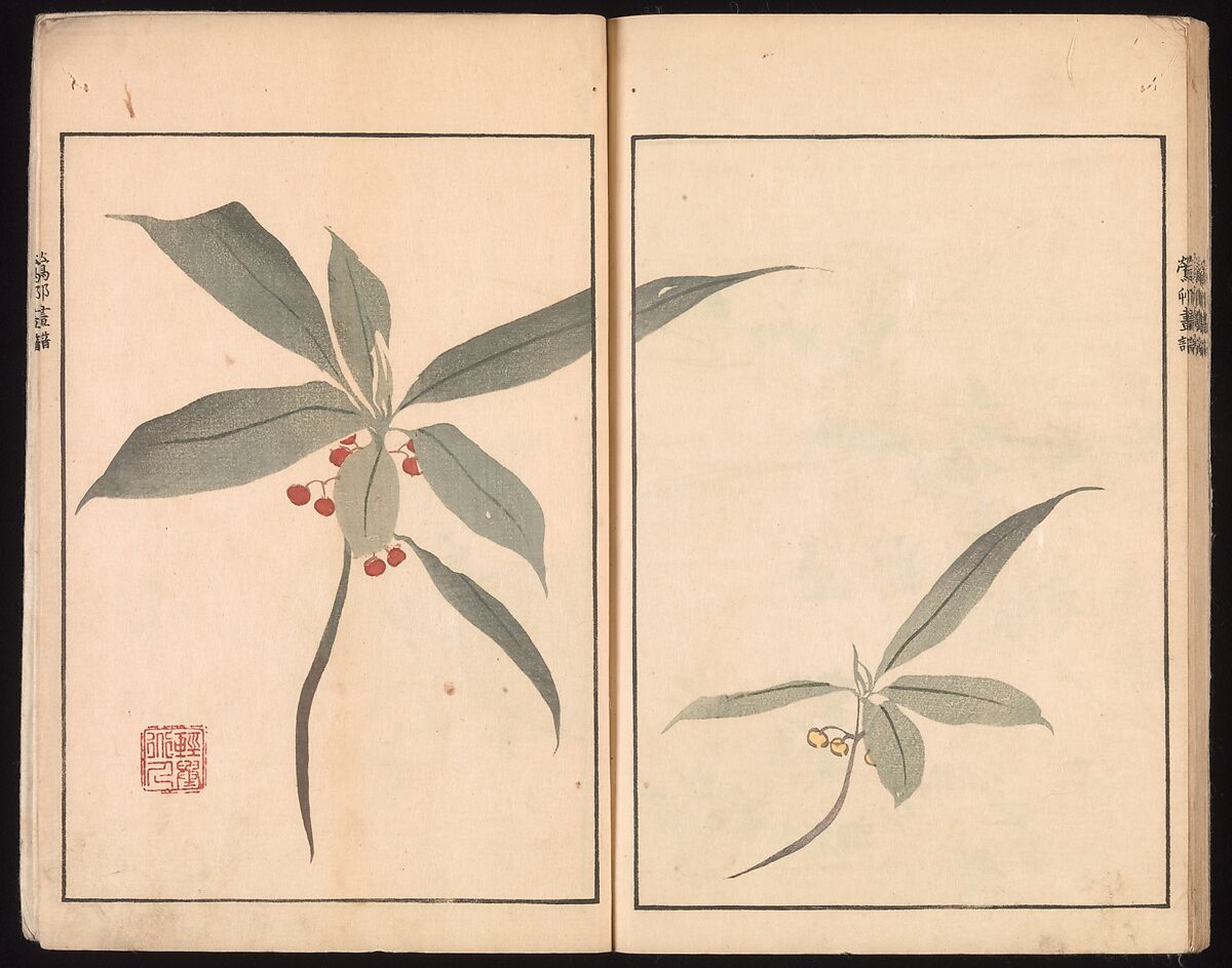Ōson (Hōitsu) Picture Album (Ōson gafu), Sakai Hōitsu (Japanese, 1761–1828), Woodblock printed book; ink and color on paper, Japan
