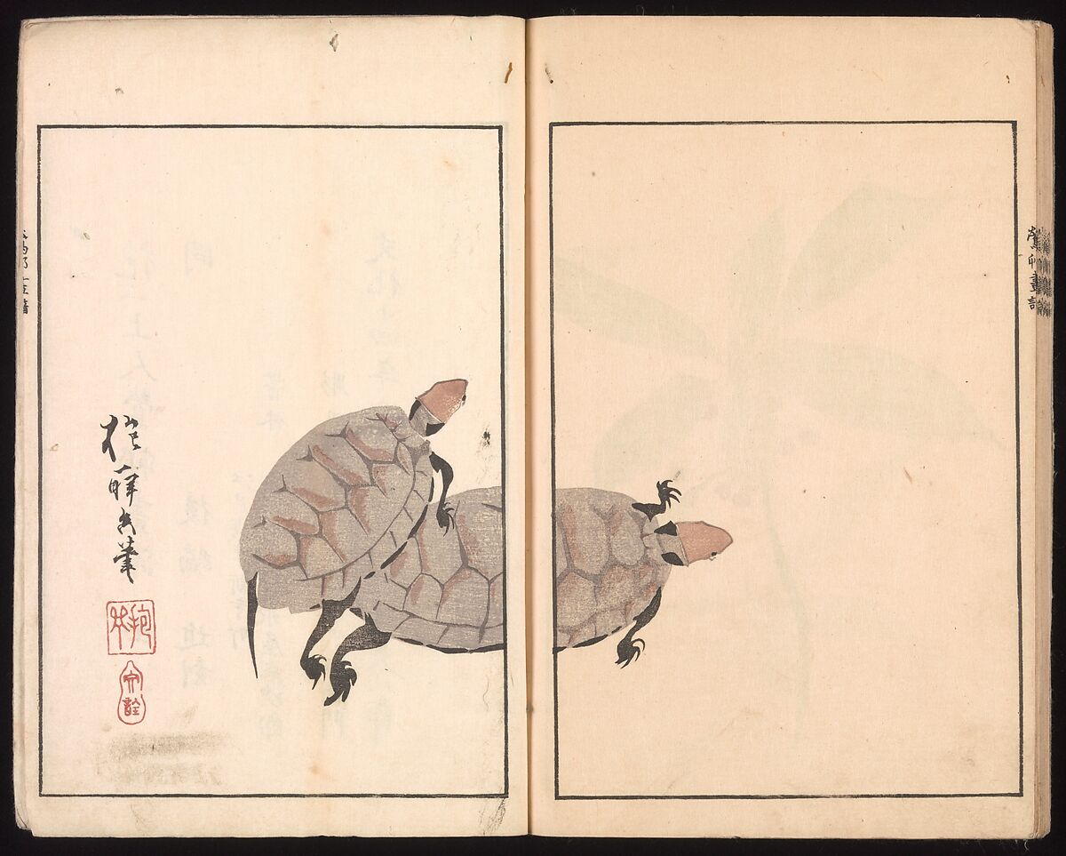 Ōson (Hōitsu) Picture Album (Ōson gafu), Sakai Hōitsu (Japanese, 1761–1828), Woodblock printed book; ink and color on paper, Japan
