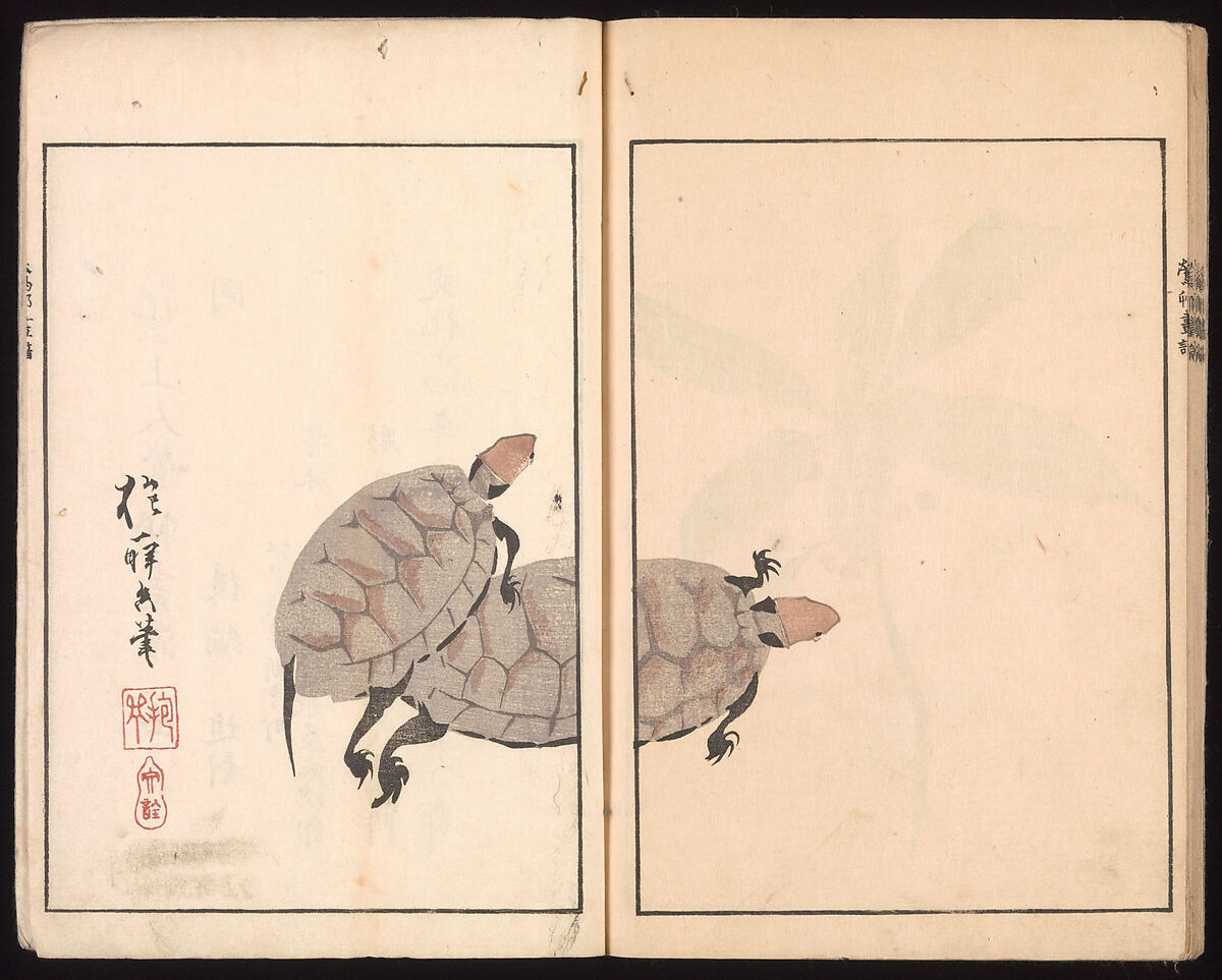 Ōson (Hōitsu) Picture Album (Ōson gafu), Sakai Hōitsu (Japanese, 1761–1828), Woodblock printed book; ink and color on paper, Japan