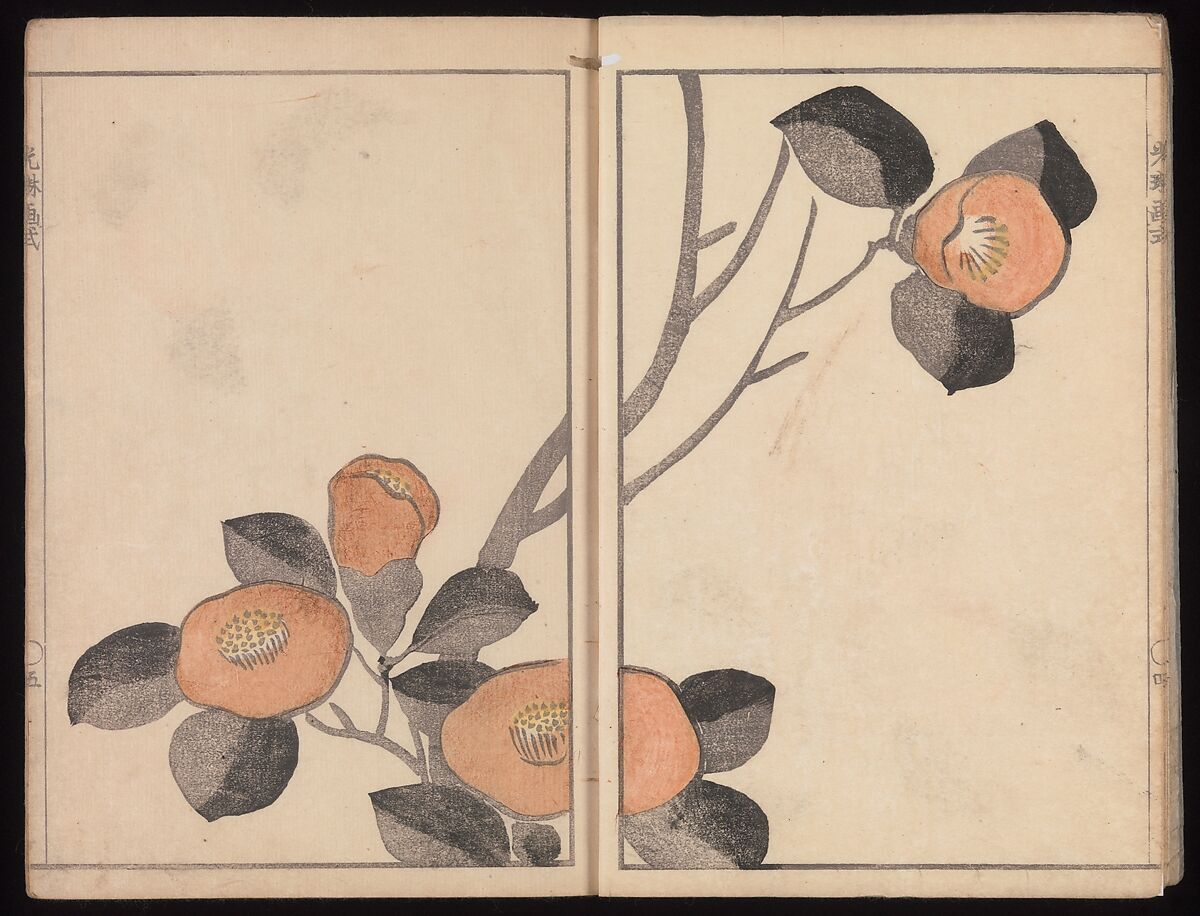 Kōrin's Painting Style (Kōrin gashiki), Aikawa Minwa (Japanese, active 1806–1821), Set of two Woodblock printed books; ink and color on paper, Japan