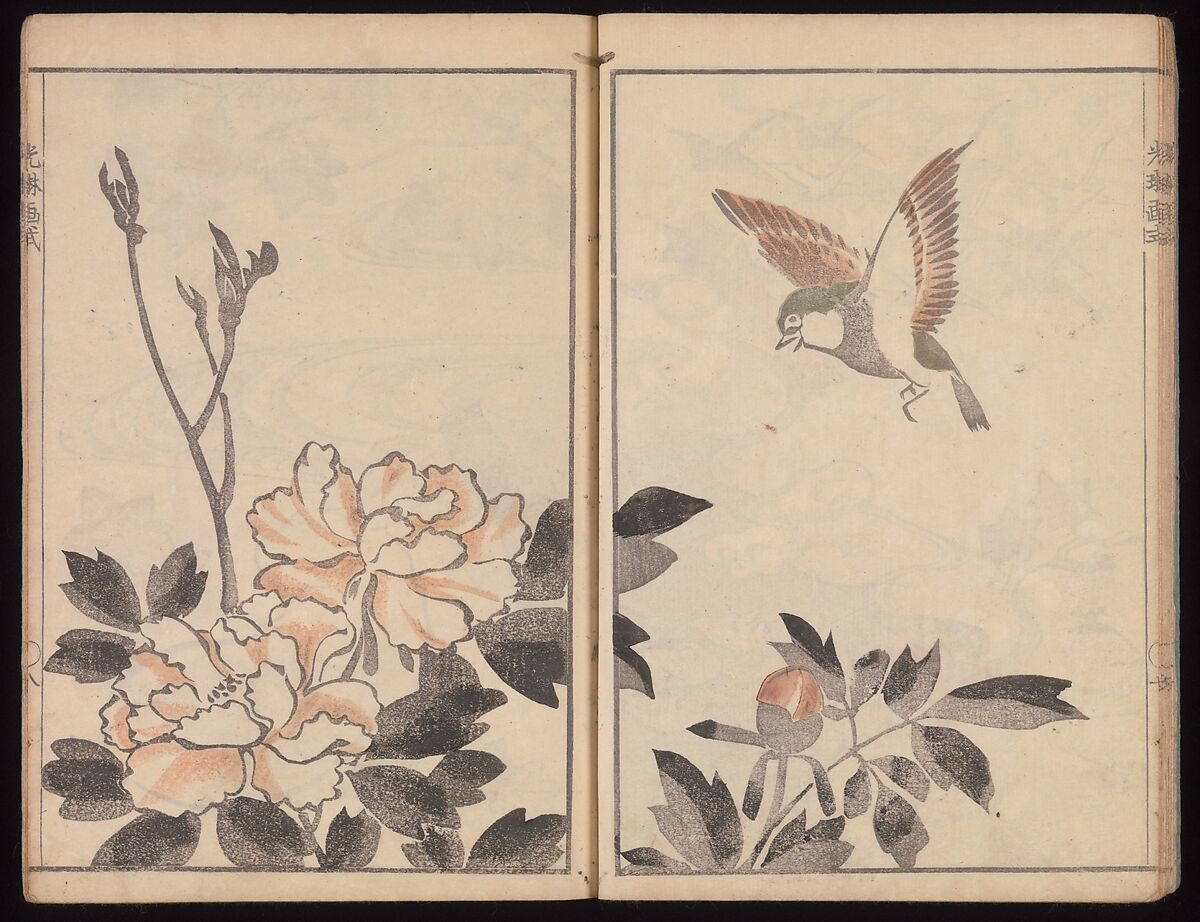 Kōrin's Painting Style (Kōrin gashiki), Aikawa Minwa (Japanese, active 1806–1821), Set of two Woodblock printed books; ink and color on paper, Japan