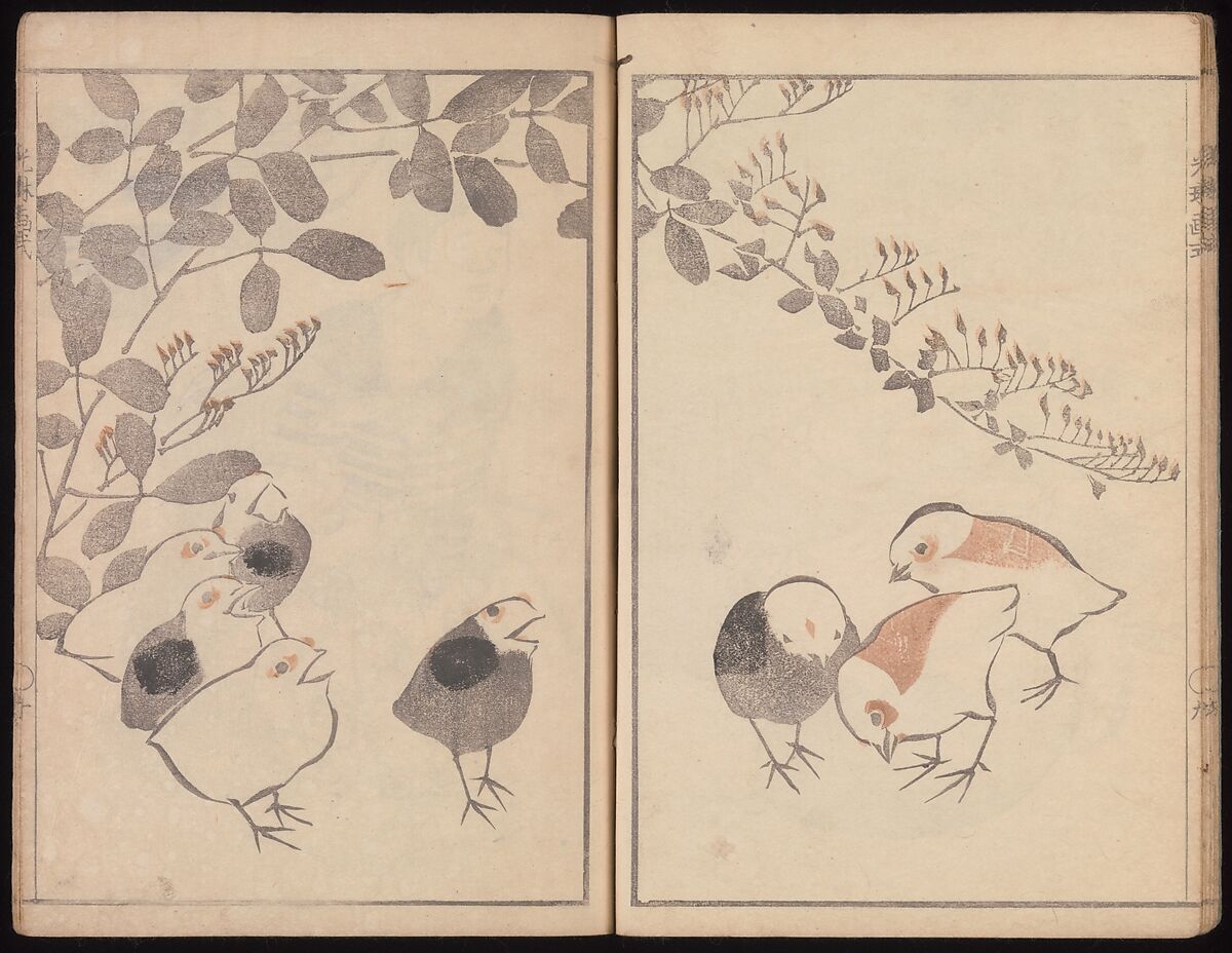 Kōrin's Painting Style (Kōrin gashiki), Aikawa Minwa (Japanese, active 1806–1821), Set of two Woodblock printed books; ink and color on paper, Japan