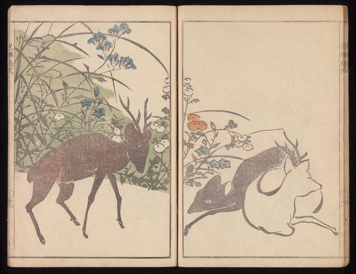Kōrin's Painting Style (Kōrin gashiki), Aikawa Minwa (Japanese, active 1806–1821), Set of two Woodblock printed books; ink and color on paper, Japan