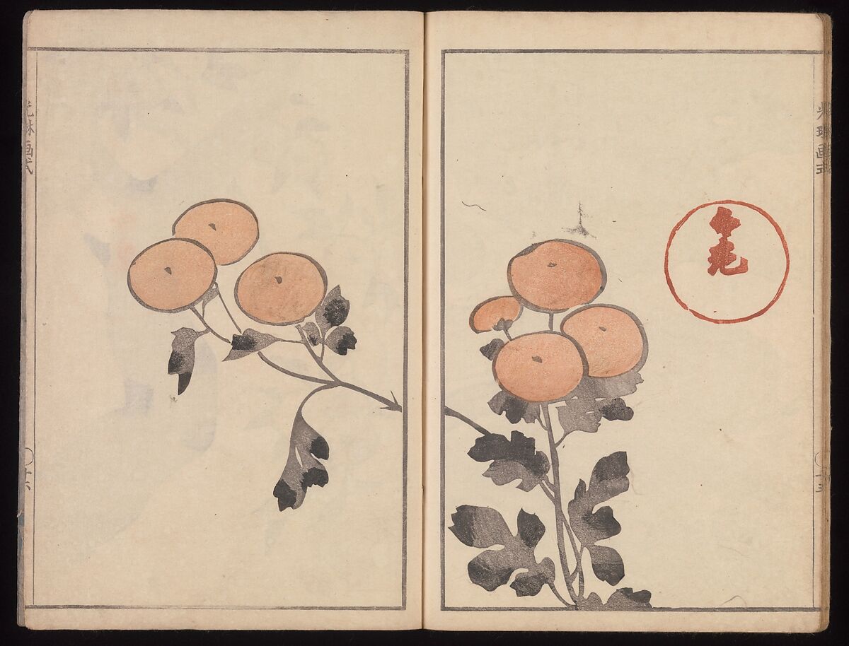 Kōrin's Painting Style (Kōrin gashiki), Aikawa Minwa (Japanese, active 1806–1821), Set of two Woodblock printed books; ink and color on paper, Japan
