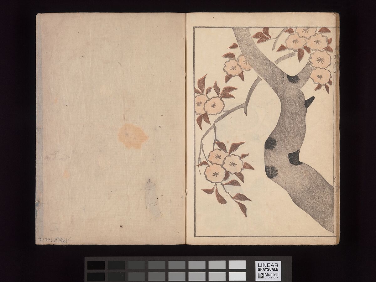 Kōrin's Painting Style (Kōrin gashiki), Aikawa Minwa (Japanese, active 1806–1821), Set of two Woodblock printed books; ink and color on paper, Japan