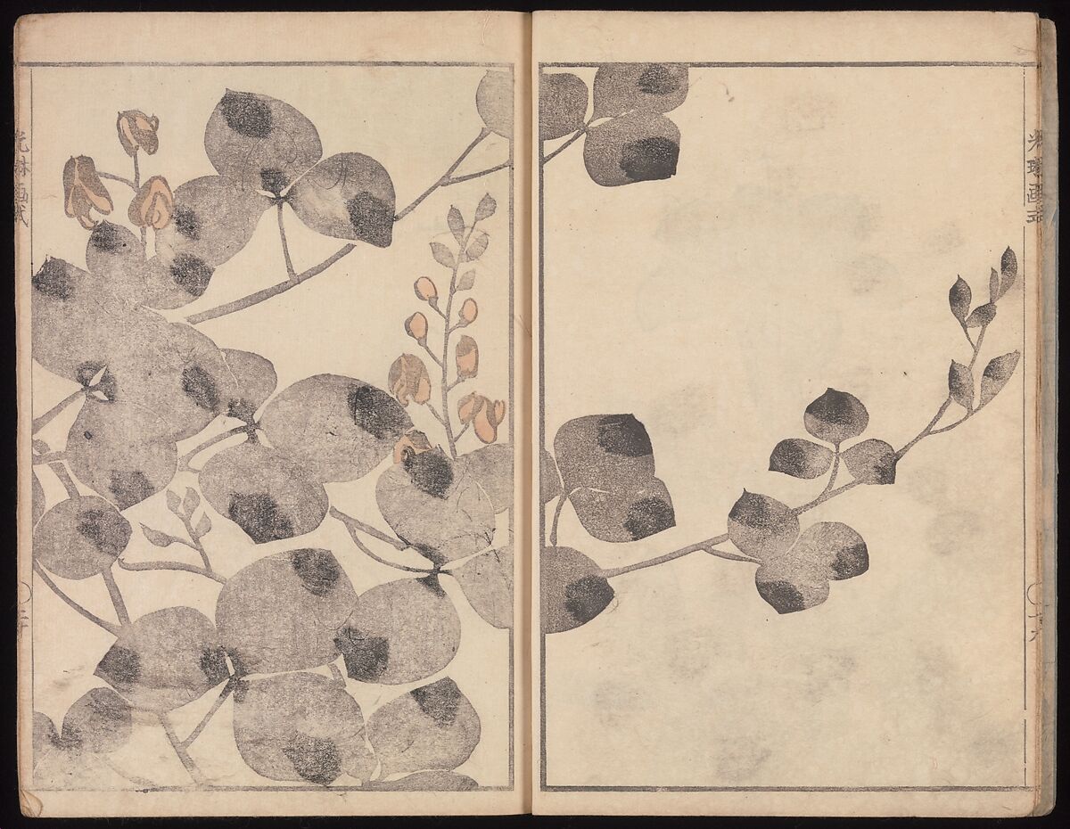Kōrin's Painting Style (Kōrin gashiki), Aikawa Minwa (Japanese, active 1806–1821), Set of two Woodblock printed books; ink and color on paper, Japan