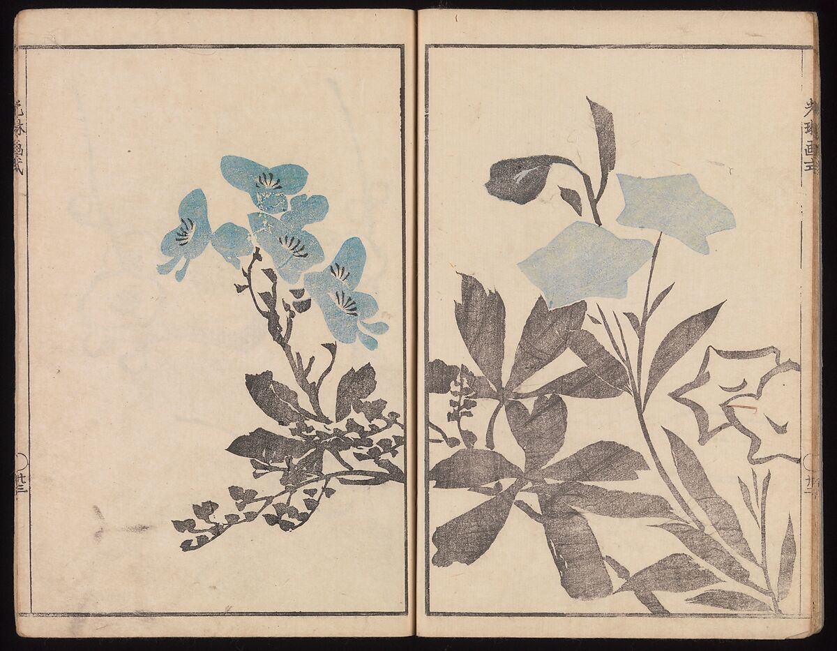 Kōrin's Painting Style (Kōrin gashiki), Aikawa Minwa (Japanese, active 1806–1821), Set of two Woodblock printed books; ink and color on paper, Japan